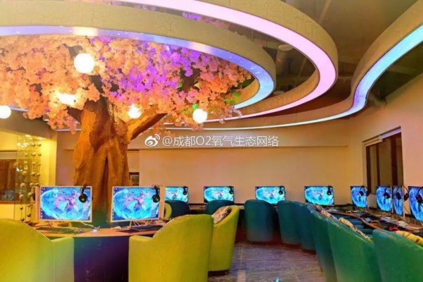 成都特色养生茶烤土豆，休闲新选择