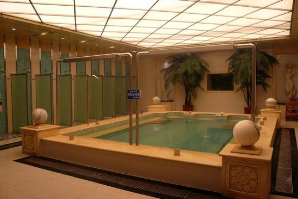 成都茶馆鸽子休闲时光(成都 茶馆)