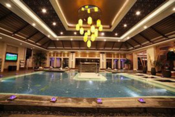 抚琴茶馆养生秘籍，休闲时光尽享(抚琴在哪儿)